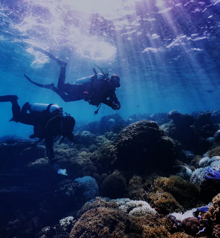 “THE OCEANIC HEAT WAVE THAT LORD HOWE EXPERIENCED  THIS SUMMER WAS  SOMETHING ELSE.”