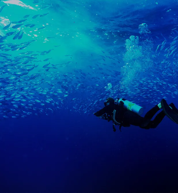 “THE OCEANIC HEAT WAVE THAT LORD HOWE EXPERIENCED  THIS SUMMER WAS  SOMETHING ELSE.”