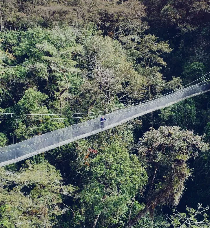 “THIS IS WHERE THE AMAZON IS BORN, IN THESE HIGH-ELEVATION MOUNTAINS.”