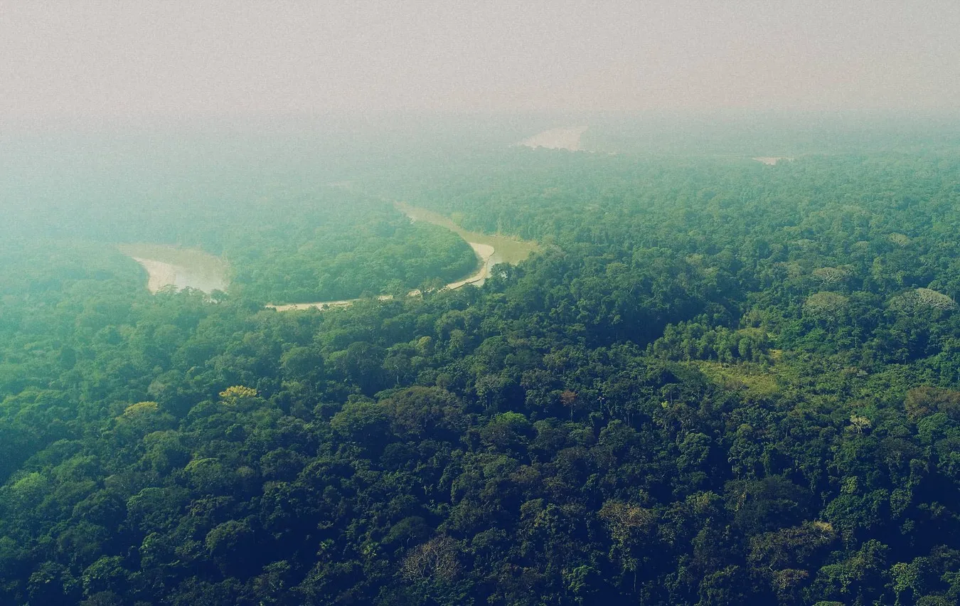“WE'RE DEVISING METHODOLOGIES TO  PROMOTE REFORESTATION  AND NATURAL REGENERATION  IN THE HIGHER AREAS.”