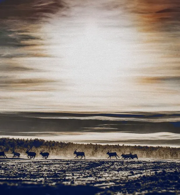 “SHOWING THE NATURAL WORLD IN ITS RAW FORM, ESPECIALLY TO  THE YOUNGER GENERATION,  IS MORE IMPORTANT THAN EVER.”